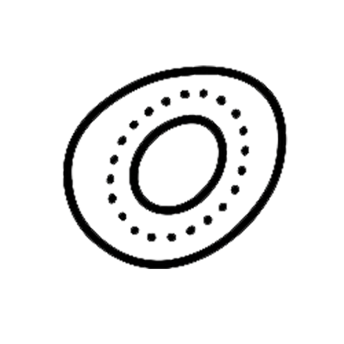 nova-optic-farbige-linsen